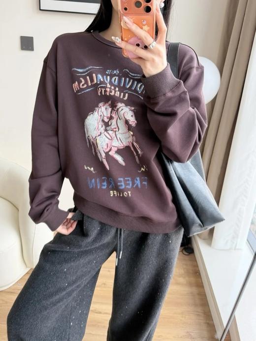 【高品质私服】【MC生肖马年系列彩绘印花卫衣】生肖马年系列卫衣，彩绘印花复刻传统奔马之境G1665-CC【无标出货 介意慎拍】 商品图0