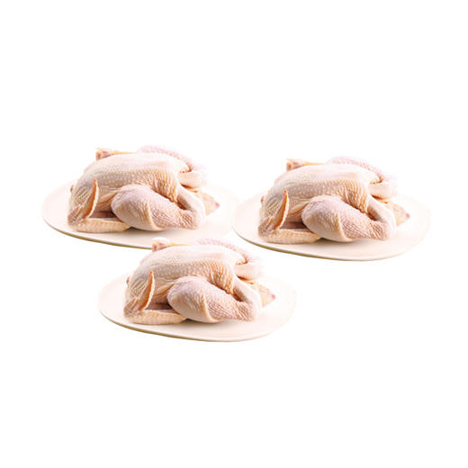 3只  慢养童子鸡 五谷喂养 顺丰包邮 750g左右/只  A-5858 商品图0