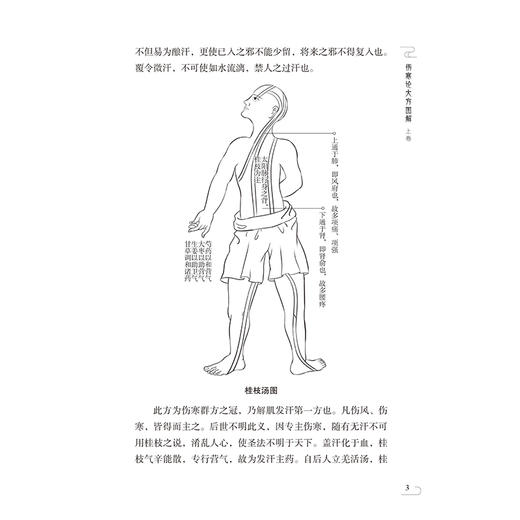 伤寒论大方图解 金匮要略大方图解 中医非物质文化遗产临床经典名著 清 何貴孚 著 宋白杨 校注 9787521459319 中国医药科技出版社 商品图4
