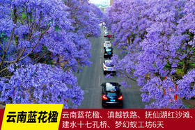 4月23日云南蓝花楹、滇越铁路、抚仙湖红沙滩、建水十七孔桥、梦幻蚁工坊6天Y