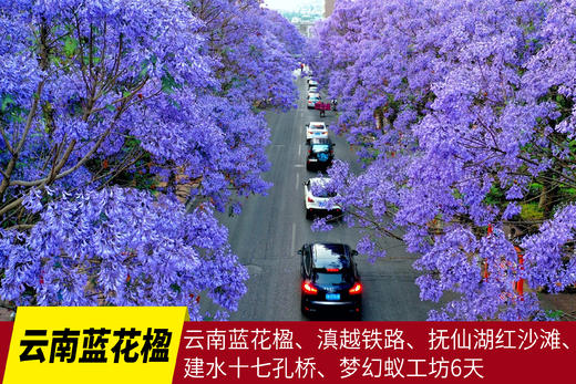 4月23日云南蓝花楹、滇越铁路、抚仙湖红沙滩、建水十七孔桥、梦幻蚁工坊6天Y 商品图0