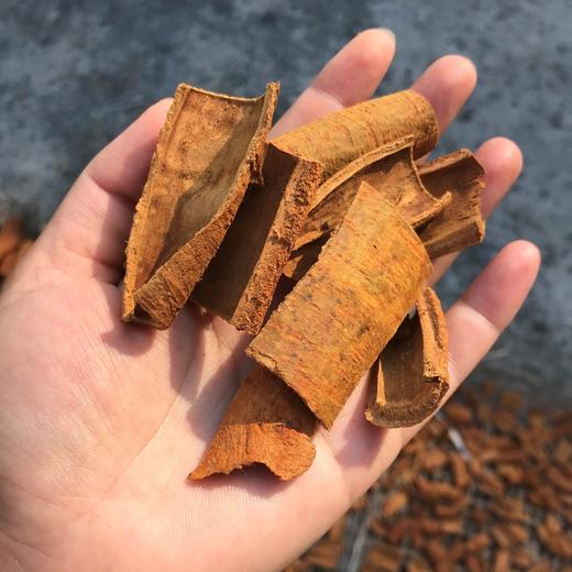 生态肉桂 100g 产地：广东广州 商品图1