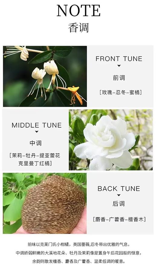 博柏利 伦敦女士香氛100ML  99350138013-F 商品图2