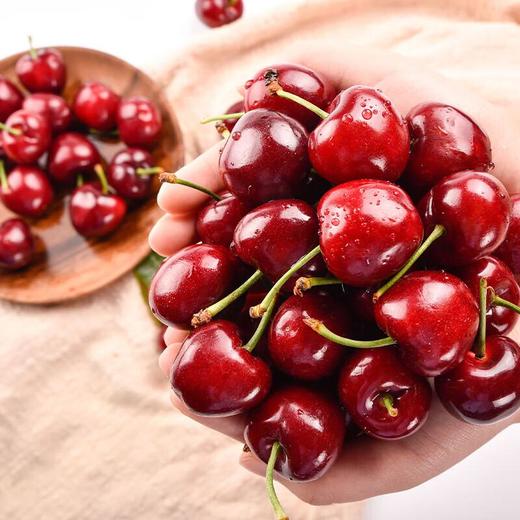 辽宁大樱桃250g(中果) 商品图2