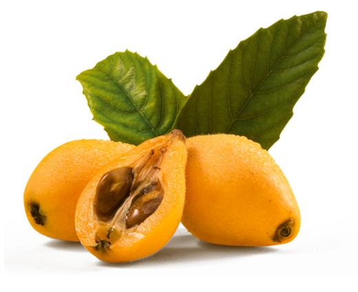 有机高山枇杷 商品图9