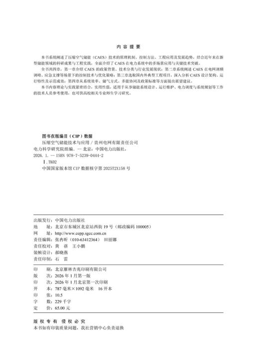 压缩空气储能技术与应用 商品图3