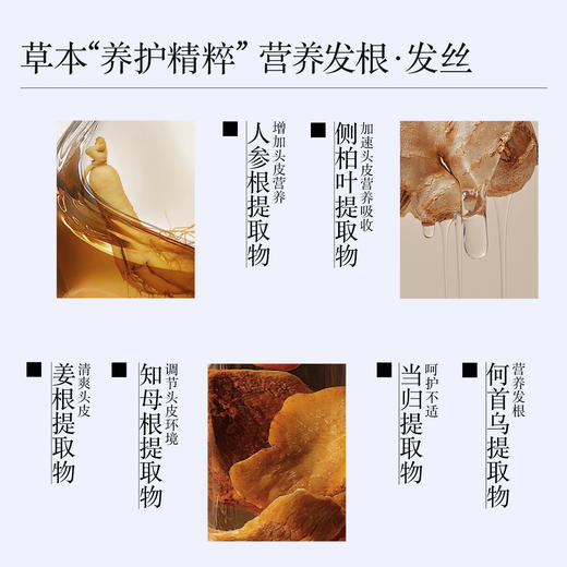 【新升级】羽心堂 当归多肽头皮精华 5ml*10支/盒 首乌安瓶 首乌头皮精华 商品图4