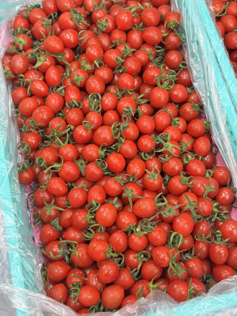 红宝石玲珑小番茄（散称49.8/2斤称重补差 多退少补）