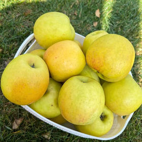 云南高原瑞雪苹果3斤小礼盒 有果斑但脆甜好吃