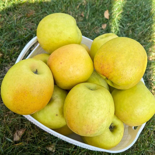 云南高原瑞雪苹果3斤小礼盒 有果斑但脆甜好吃 商品图0