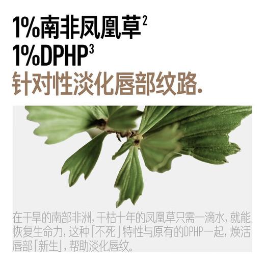 【领券到手价48元】毕生之研 无花果变色唇膏4g润唇膏淡化唇纹淡纹改善唇色滋润 商品图4