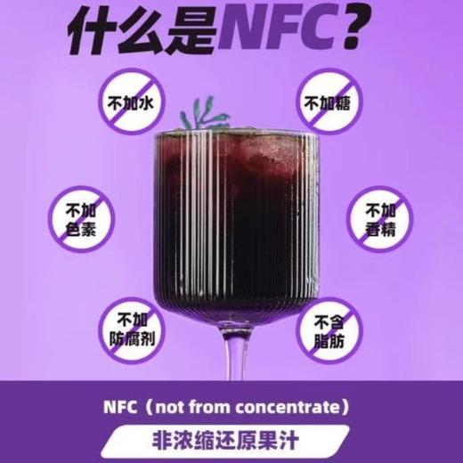 桑加1 NFC100%桑葚汁 290ml/瓶 商品图2