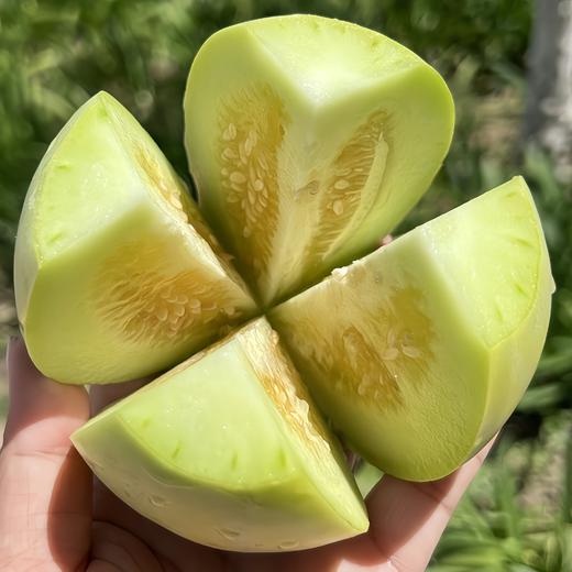 蜜宝小甜瓜 3.5斤 商品图3