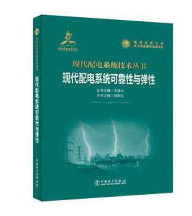 现代配电系统可靠性与弹性