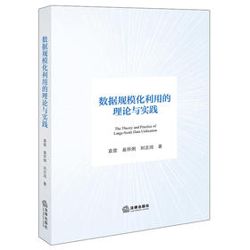 数据规模化利用的理论与实践 袁曾 易怀炯 刘志鸿著 法律出版社
