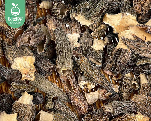 2026年云南新季头茬羊肚菌（干货3-8破口等级）/1包（约250g）生产日期：26年3月 商品图1