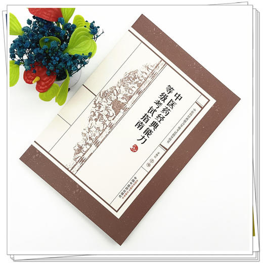 中医药经典能力等级考试指南（一二三级）谷晓红 主编（全三级考试指导用书）中国中医药出版社 内经伤寒论金匮要略温病学四大经典 商品图1