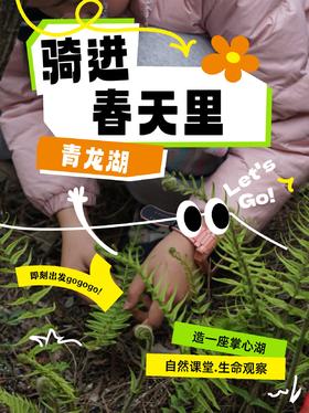 3.28下午场【骑进春天里，造一座掌心湖，遇见青龙湖的湿地生命】生态逻辑串联，收集植物样本，观察鸟类昆虫，复制微缩生态系统