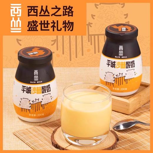 山西平城沙棘沙棘酸奶200gx8瓶 整箱装内蒙古风味酸奶 山西特产 商品图0