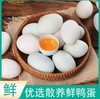 新鲜鸭蛋 商品缩略图0
