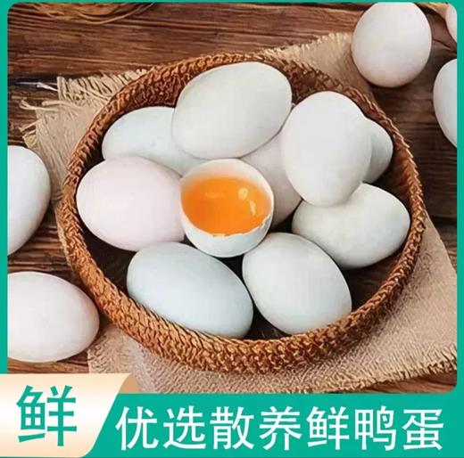 新鲜鸭蛋 商品图0