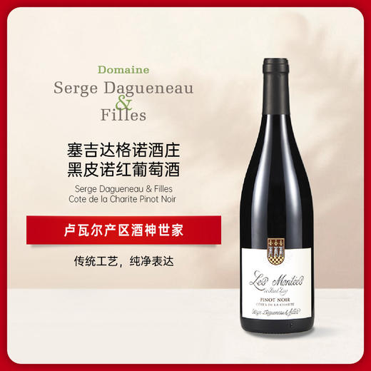 塞吉达格诺酒庄堤岸黑皮诺红葡萄酒 2020 Serge Dagueneau & Filles Cotes de la Charite Pinot Noir 商品图0