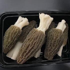 杭州90后新农人第一季羊肚菌 每一口都很鲜