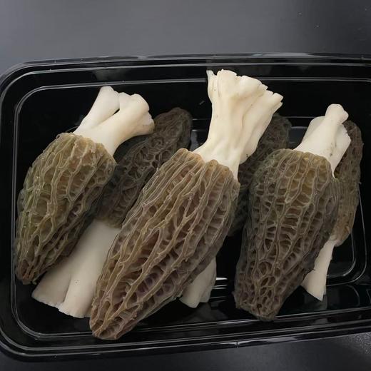 杭州90后新农人第一季羊肚菌 每一口都很鲜 商品图0