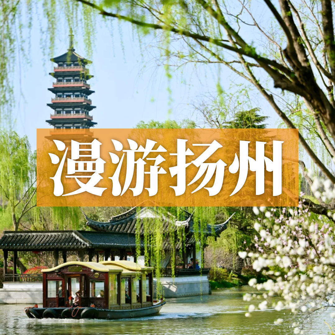 边玩边养老丨漫游扬州，看花海游古巷，玩转江南四城，赏春日江南好风光！