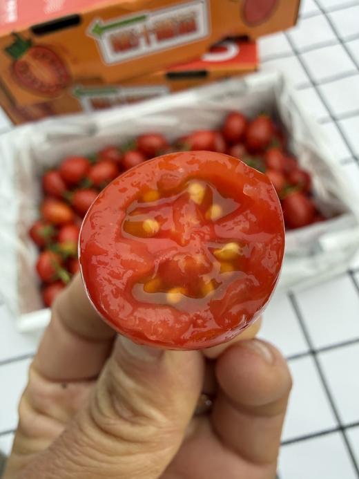 爆汁糖心小番茄 商品图3