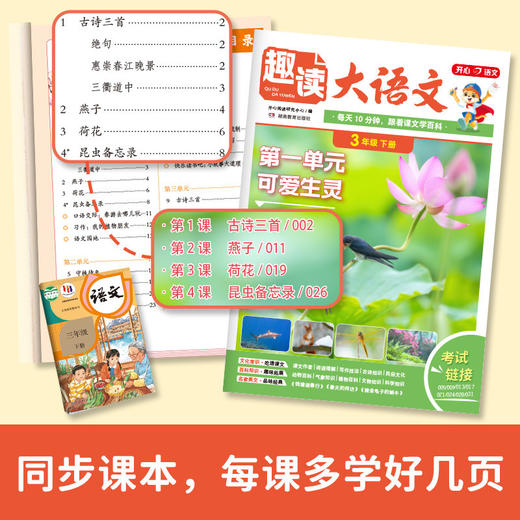 2026春开心趣读大语文、趣读数学故事小学生一二三四五年级下册语文数学同步教材人教课堂作文课外拓展分级阅读训练 商品图2