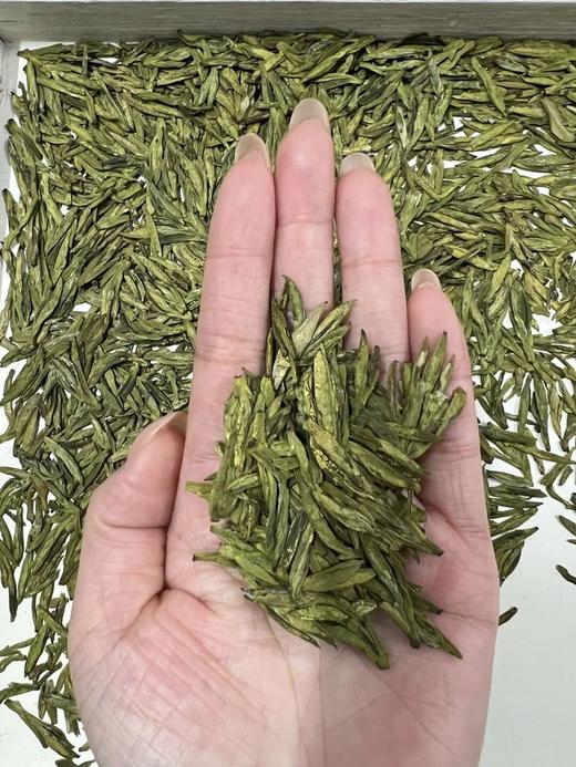 2026老侯爷·钱塘龙井系列， 钱塘核心产区，大自然馈赠的春日清甜 商品图6