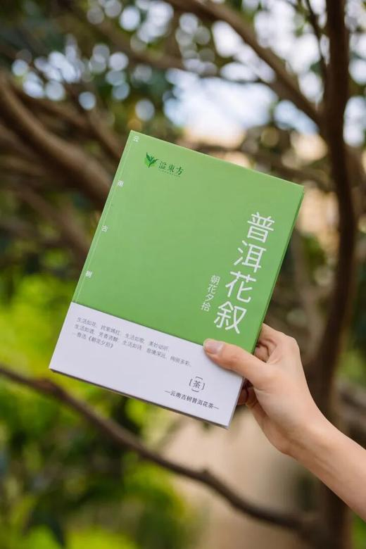 「朝花夕拾·普洱花叙」云南古树普洱花茶 | 5种春日风味花香普洱，一杯融合山野花香与时光沉淀的茶 商品图4