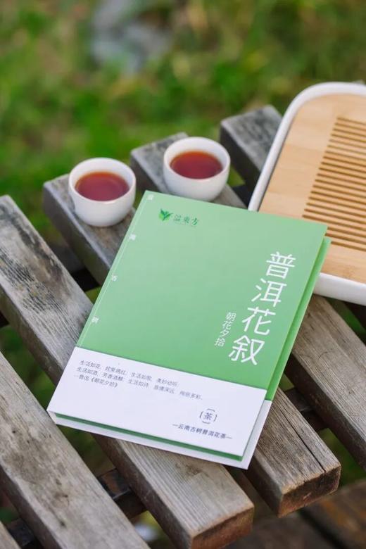 「朝花夕拾·普洱花叙」云南古树普洱花茶 | 5种春日风味花香普洱，一杯融合山野花香与时光沉淀的茶 商品图6