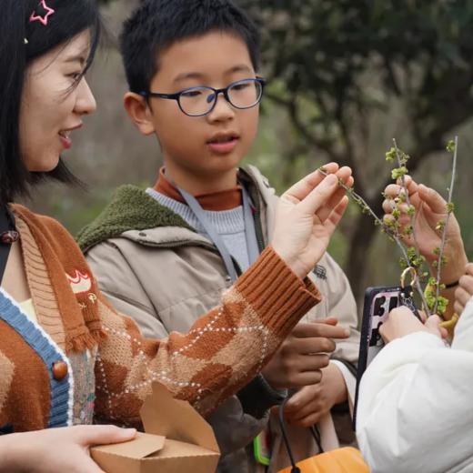 3.28下午场【骑进春天里，造一座掌心湖，遇见青龙湖的湿地生命】生态逻辑串联，收集植物样本，观察鸟类昆虫，复制微缩生态系统 商品图2