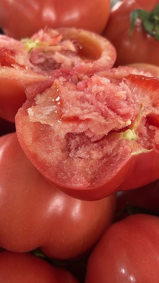 「沙啦啦啦啦～」红沙蜜·沙瓤老品种西红柿  txa 商品图2