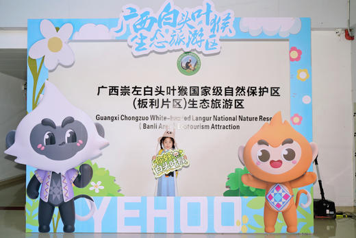 首发优惠立-￥1000！限前20人！五一崇左+钦州5天4晚亲子游 | 横跨中越边境瀑布，丁达尔雨林徒步，追中华白海豚、沙滩赶海、观摩岩画，寻珍稀叶猴获证书！全5钻住宿，配亲⼦领队、游学老师、跟拍摄影师 商品图6