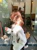 <曾小咸推荐>3.16现货秒杀 ！微信超特价！韩系大圆领打底衫 日常129.99 立减70 秒杀59.99！！ 商品缩略图8