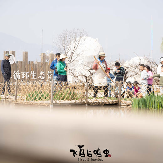 清明农耕单日营：「种土豆、蚯蚓堆肥箱、爆笑虫子面包、放风筝」（26） 商品图1