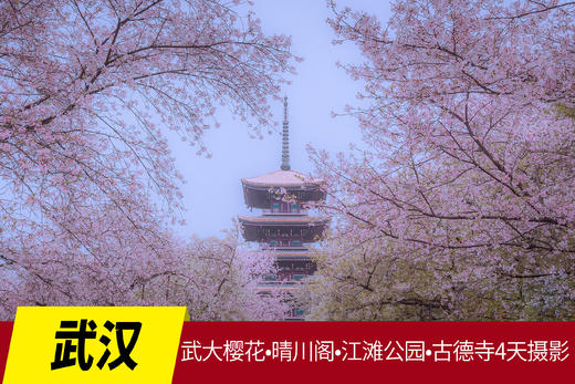 3.19确定出发【武汉】武大樱花•晴川阁•江滩公园•古德寺4天摄影 商品图0