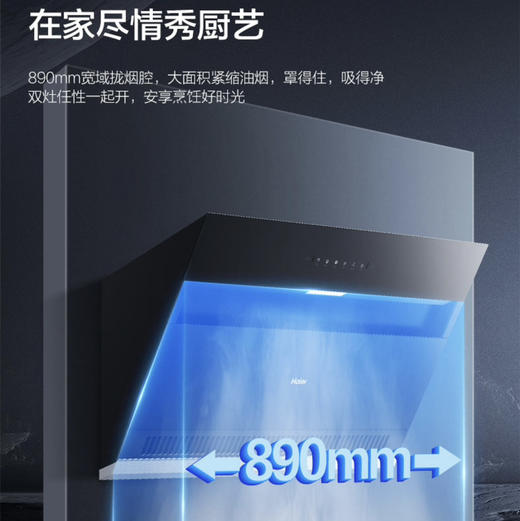 海尔（Haier）烟机 CXW-219-E900C6JS 商品图5