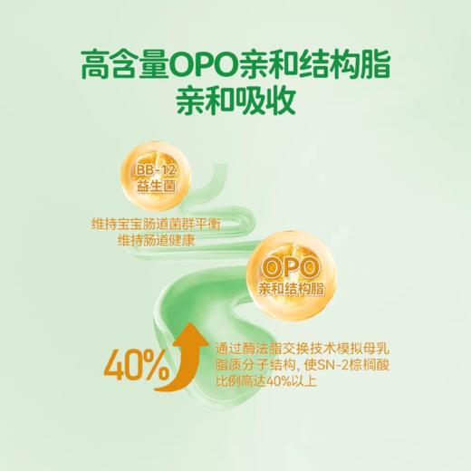 华丹560mg乳铁蛋白+9克OPO配方奶粉1阶段 商品图3
