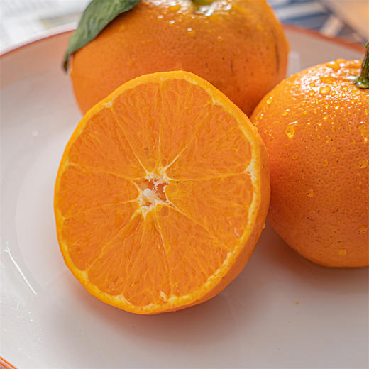 【明日见柑橘】脆嫩 甜度高 商品图2