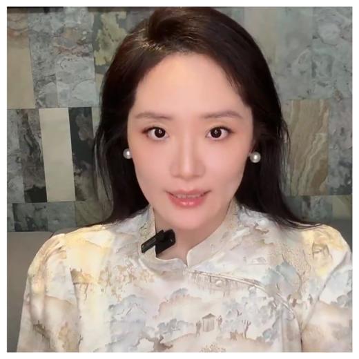 【咕咕同款】PL/PALUOPO/PL【100%桑蚕丝】立领斜襟古典印花新中式连衣裙女 ES2F0800Z帕罗 商品图2