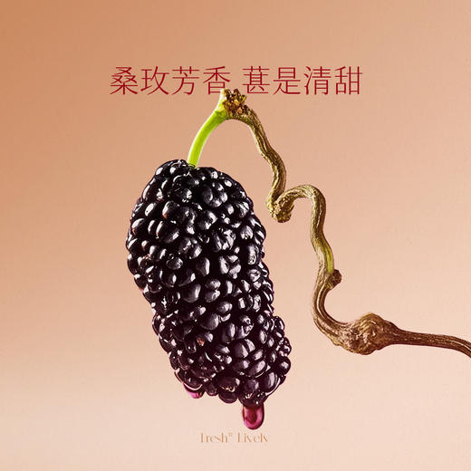 【春日序曲】「宋红2瓶礼袋装」玫瑰桑葚500ml 8%vol花果酒独酌酒聚会酒送礼酒庆功酒 商品图2