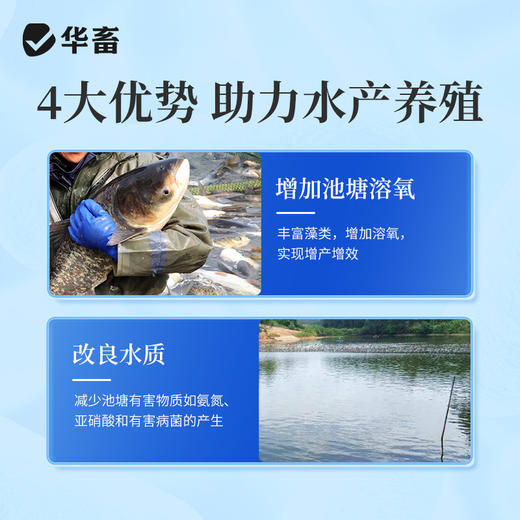多肽肥水宝10kg 快速肥水增加溶氧改良水质提高成活减少病害 商品图2