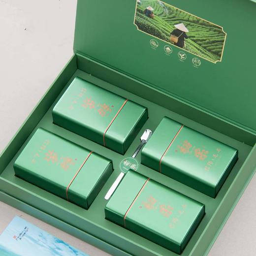 28元一套 / 一箱18套 初采新芽【信阳毛尖 四罐 浅绿色】 商品图1