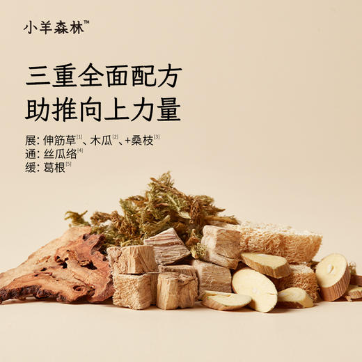 健脾助长双效组：节节长*1+节节长穴位贴*2+四神饮*1加买赠四神饮小盒*2和正气锦囊（实物）【下单即赠价值299元线上长高课，联系养护顾问领取】 商品图5