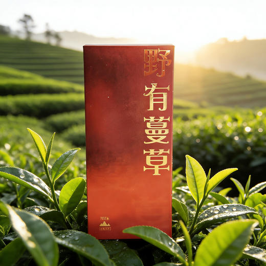 隐岭·品鉴盒·野有蔓草（两泡） 商品图2