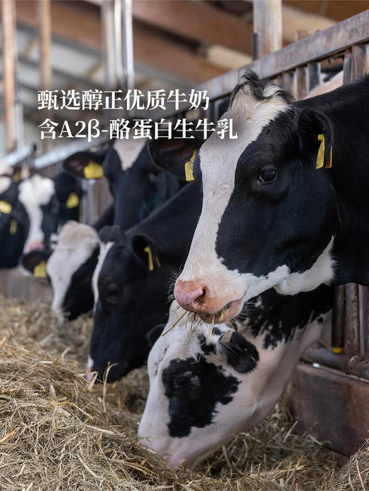 MM 山姆 Cowala A2β酪蛋白全脂奶粉 900g 商品图4